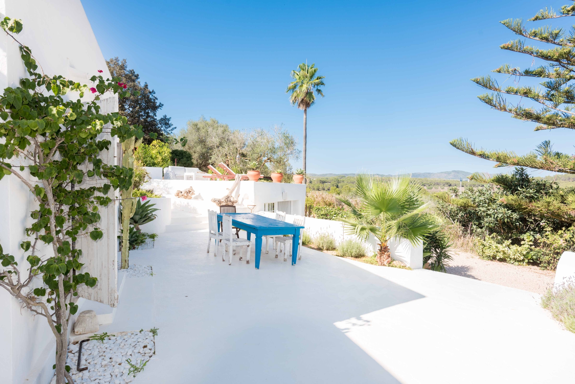 Aurora, Santa Gertrudis 66