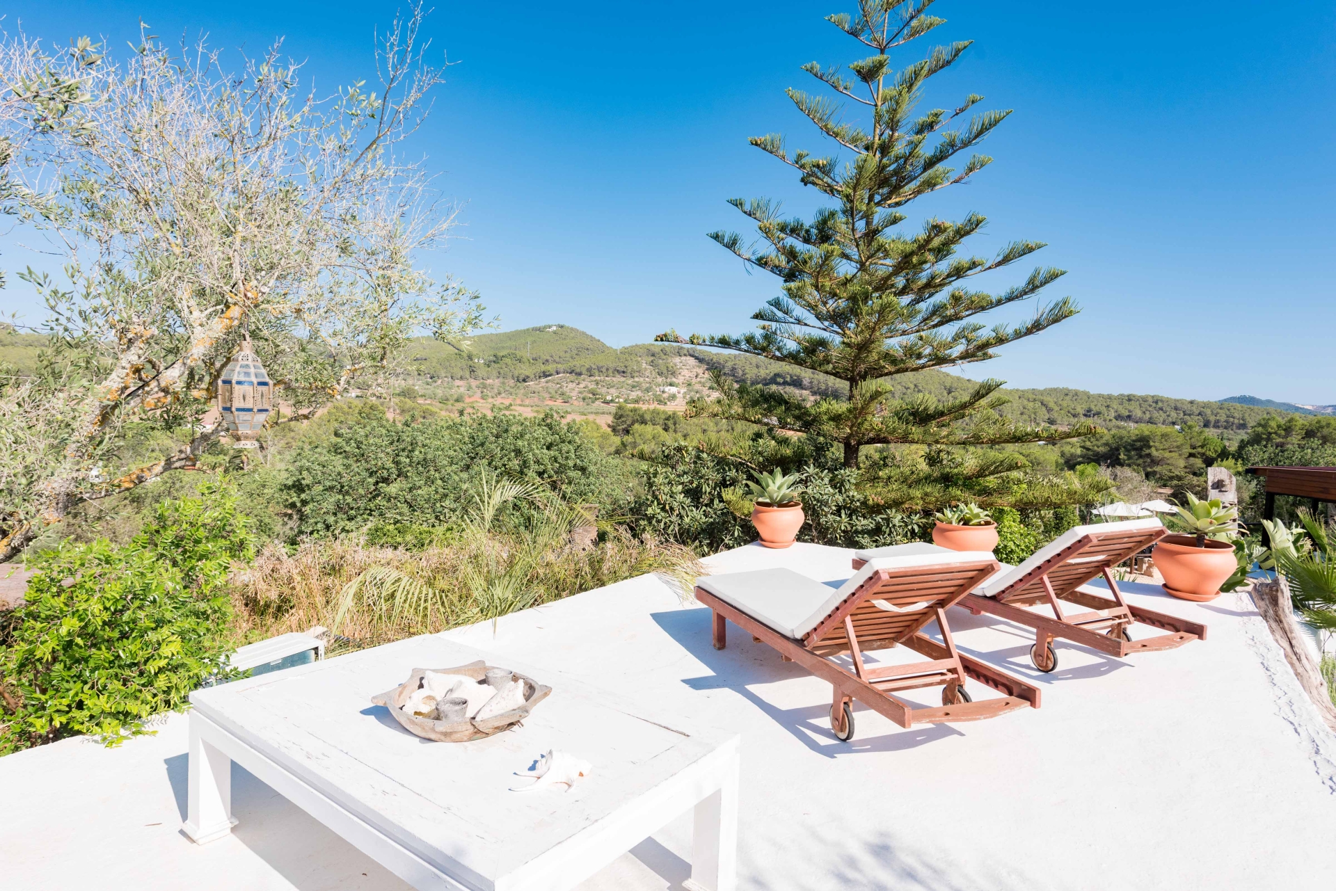 Aurora, Santa Gertrudis 67