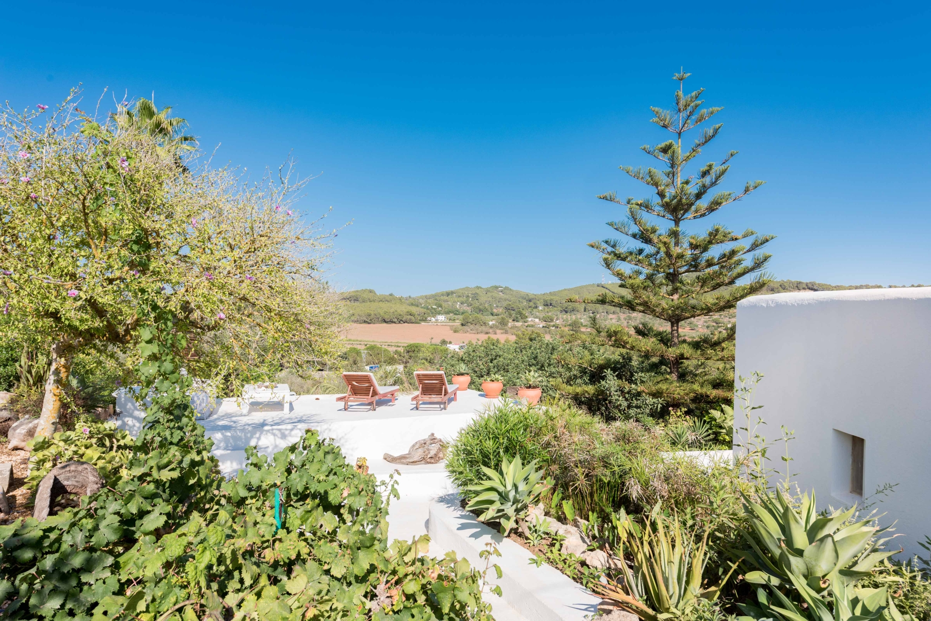 Aurora, Santa Gertrudis 69