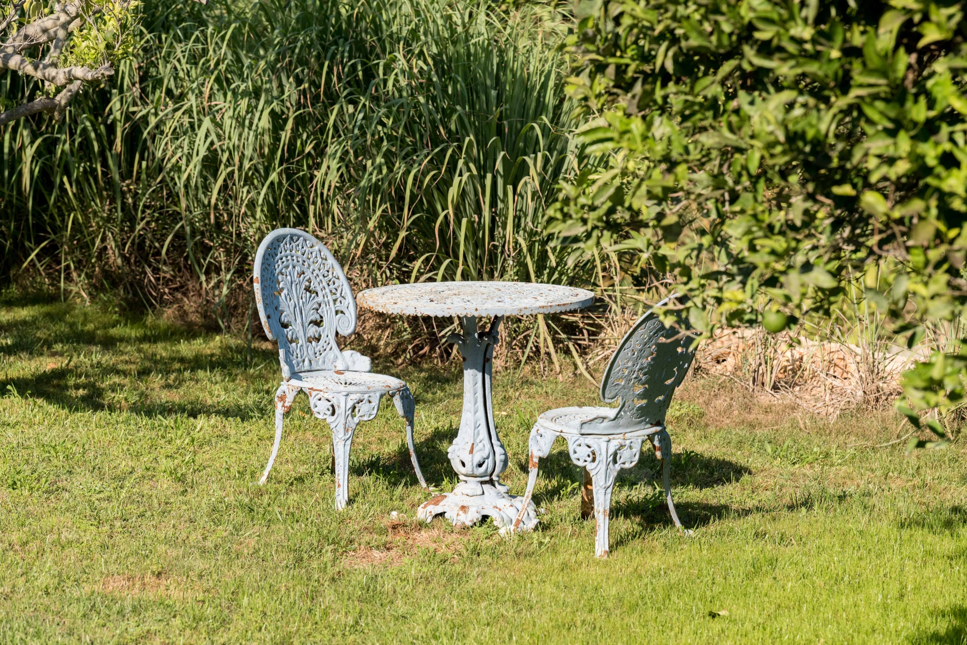 Aurora, Santa Gertrudis 79