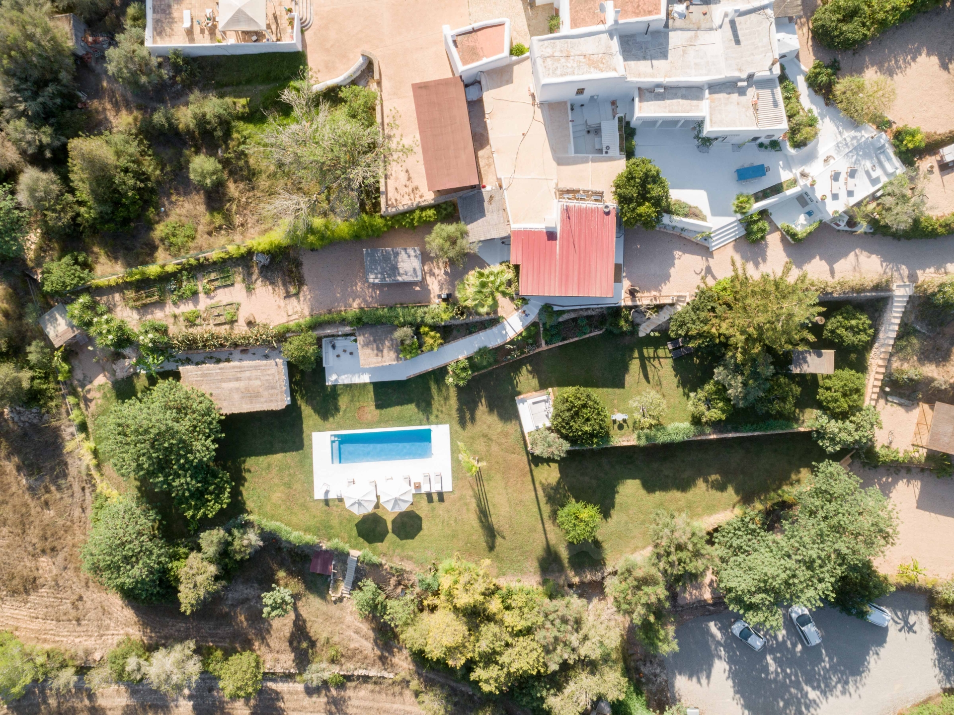 Aurora, Santa Gertrudis 94