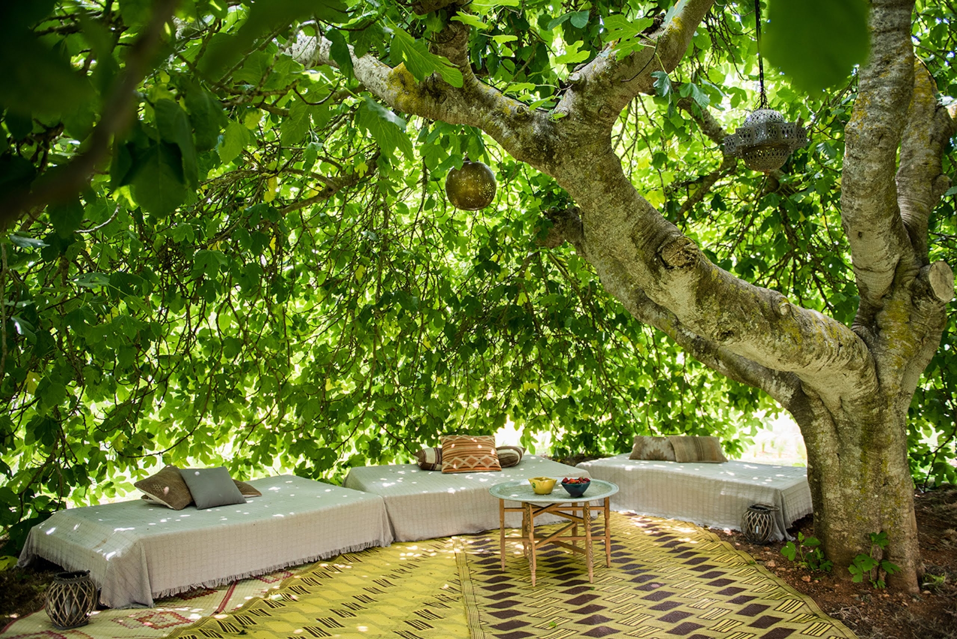 Luna, Santa Gertrudis 47