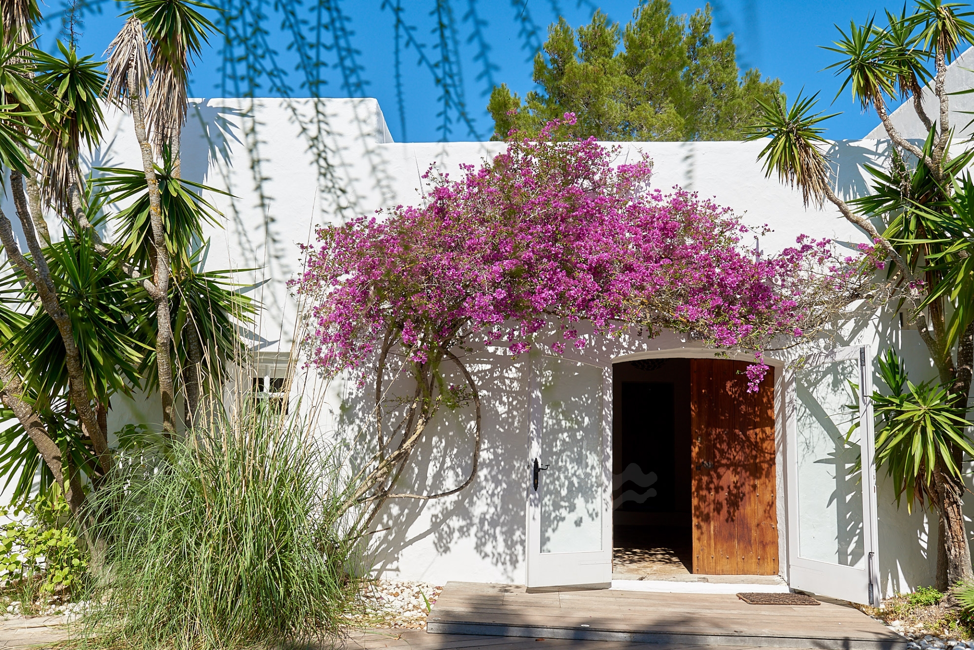 Josephine, San Augustin 17