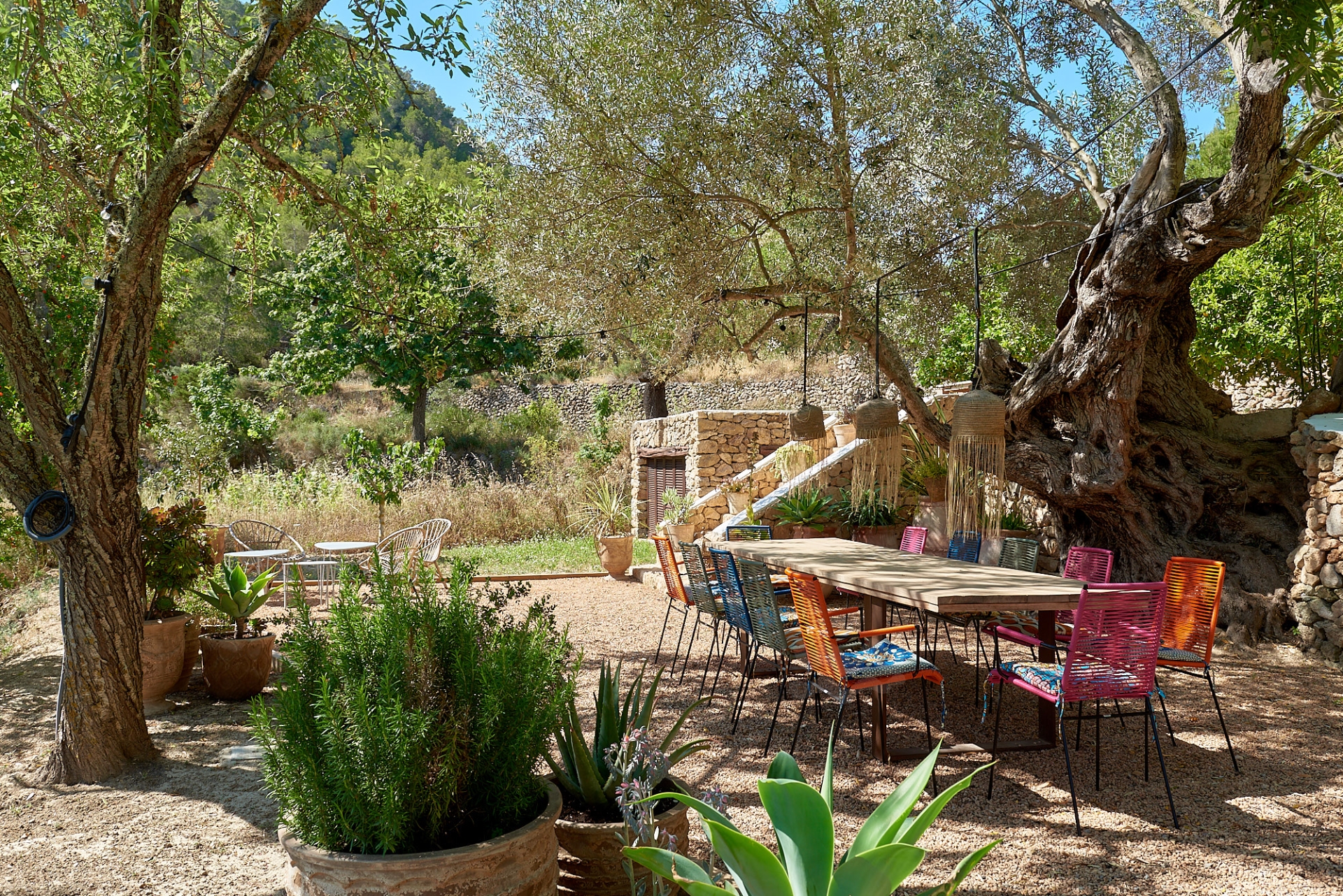 Josephine, San Augustin 25