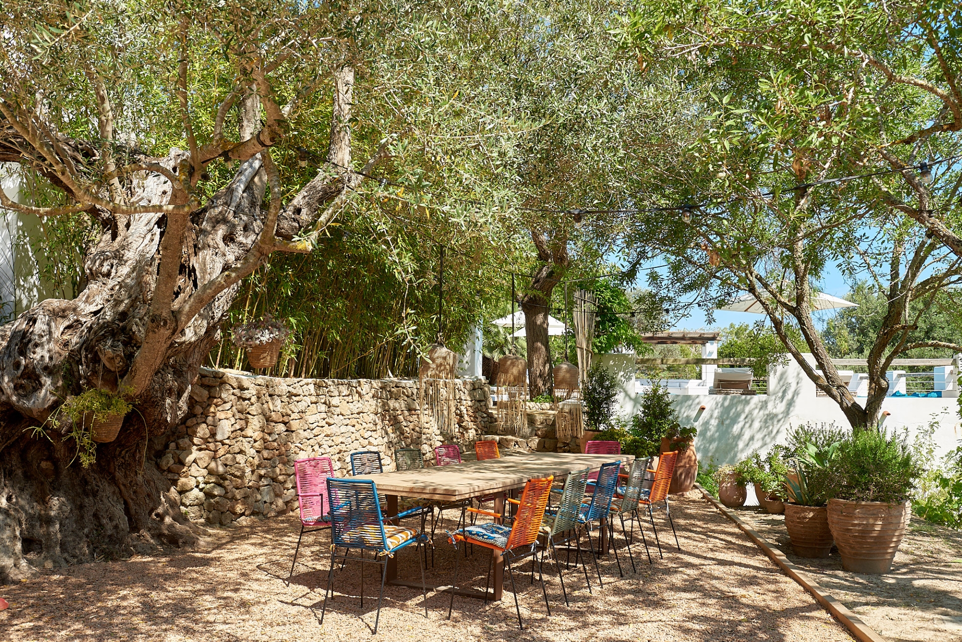 Josephine, San Augustin 26