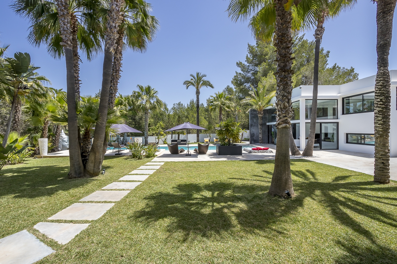 Zoe, Sant Antonio 13