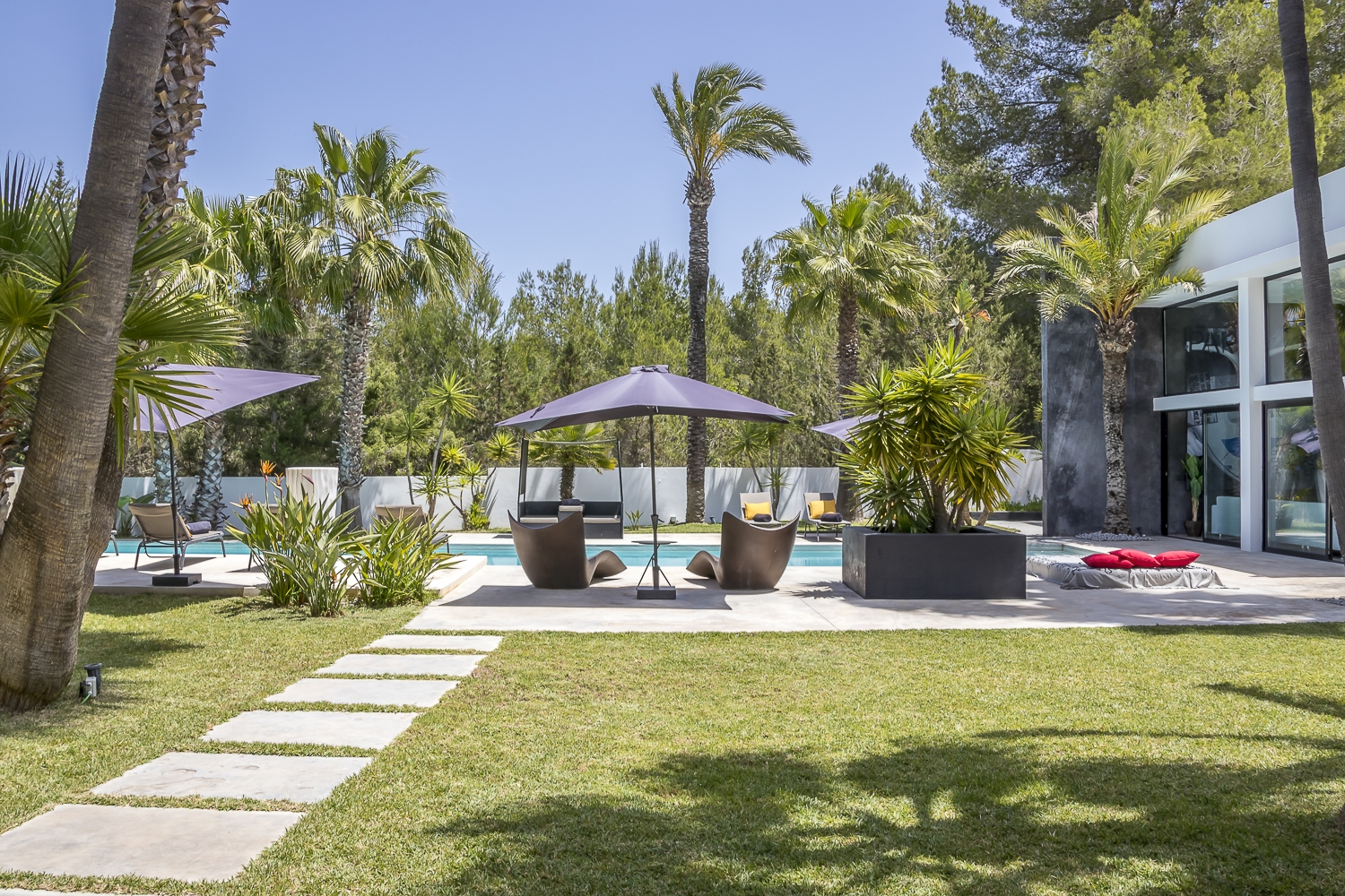 Zoe, Sant Antonio 14