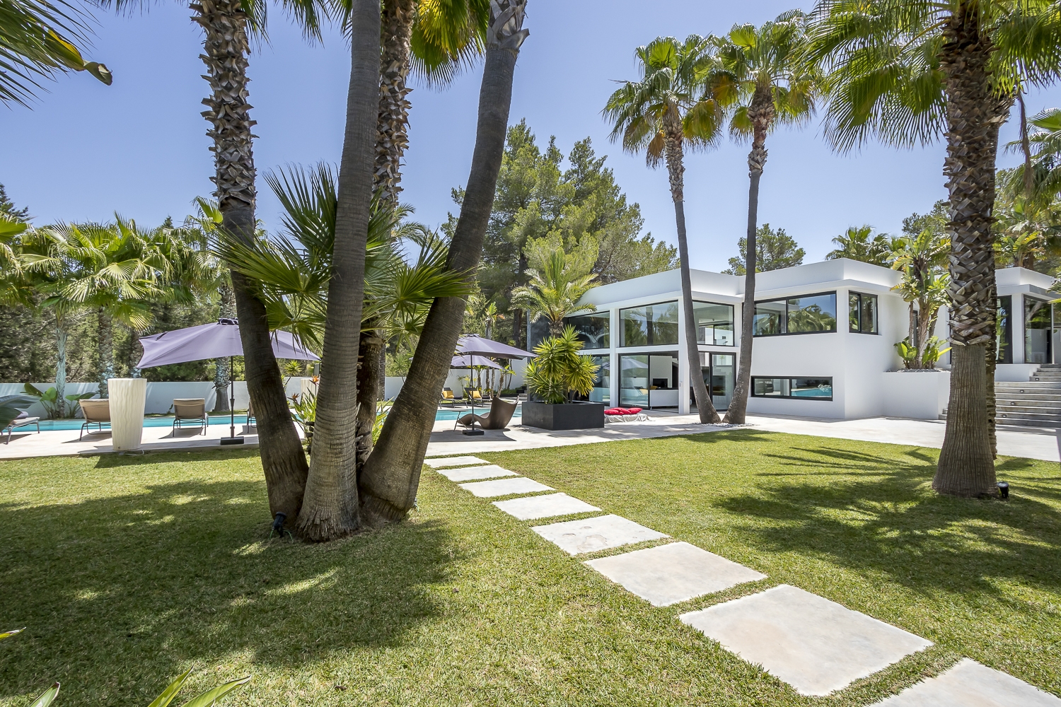 Zoe, Sant Antonio 15