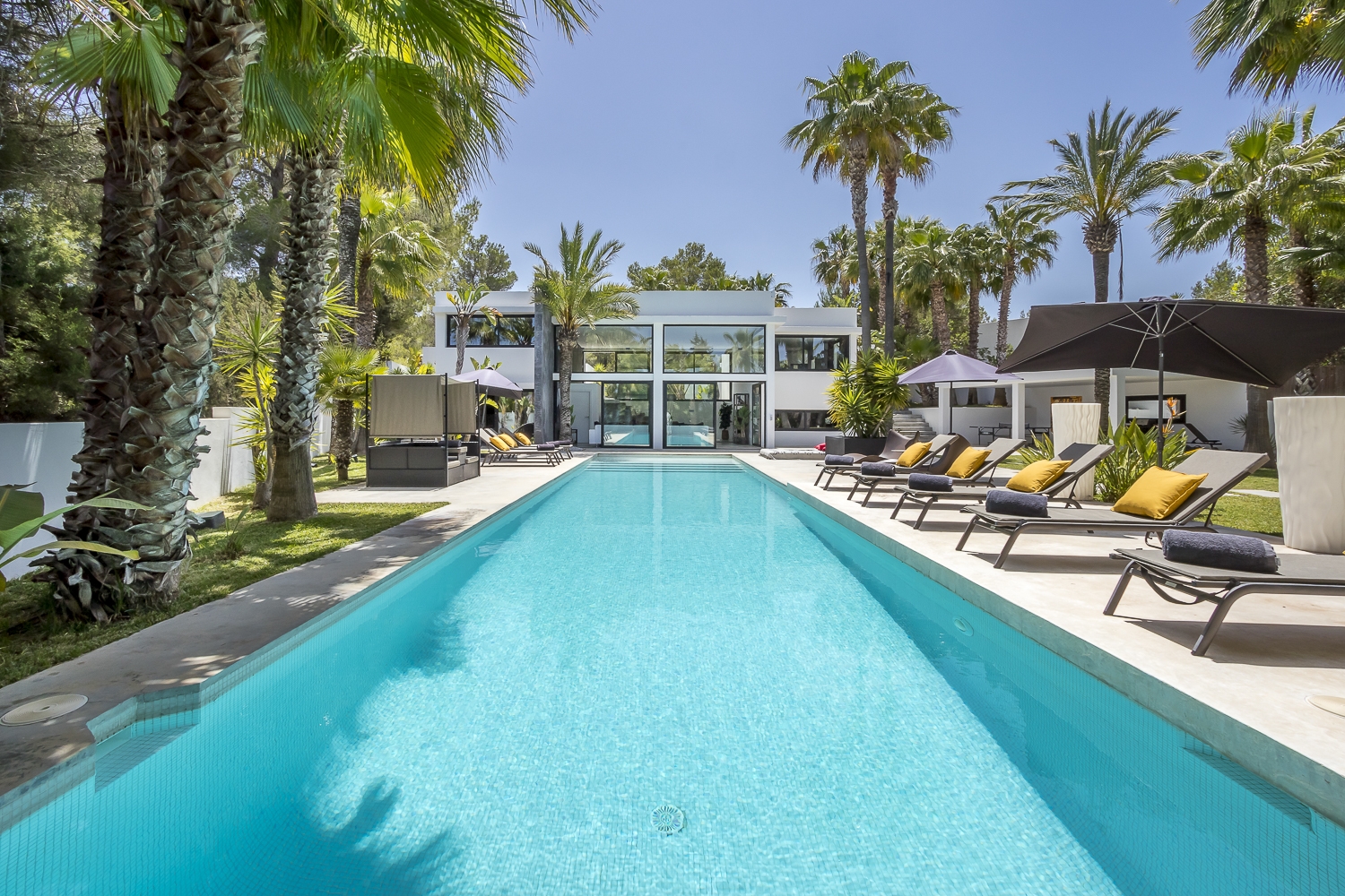 Zoe, Sant Antonio 16