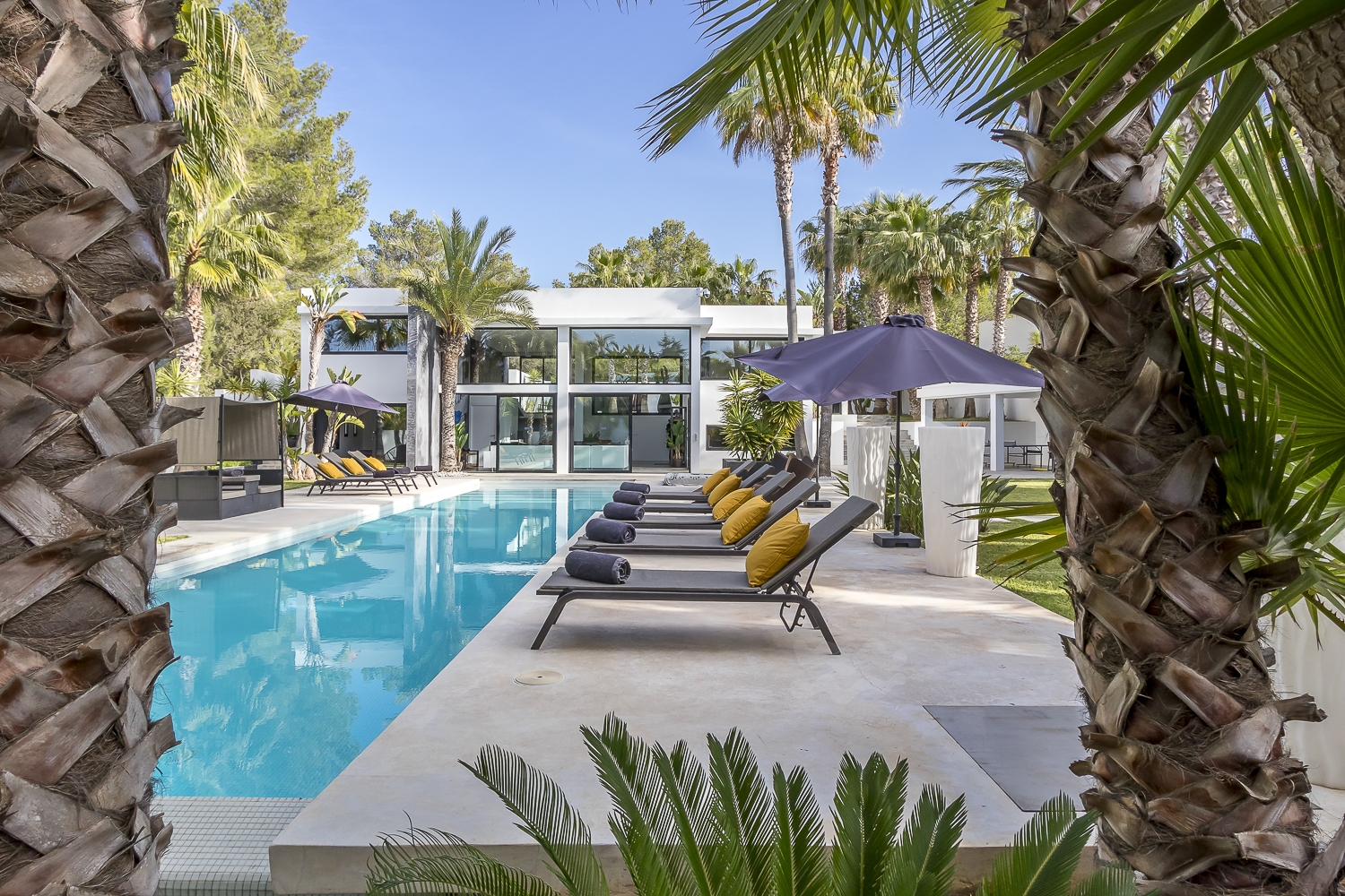 Zoe, Sant Antonio 18