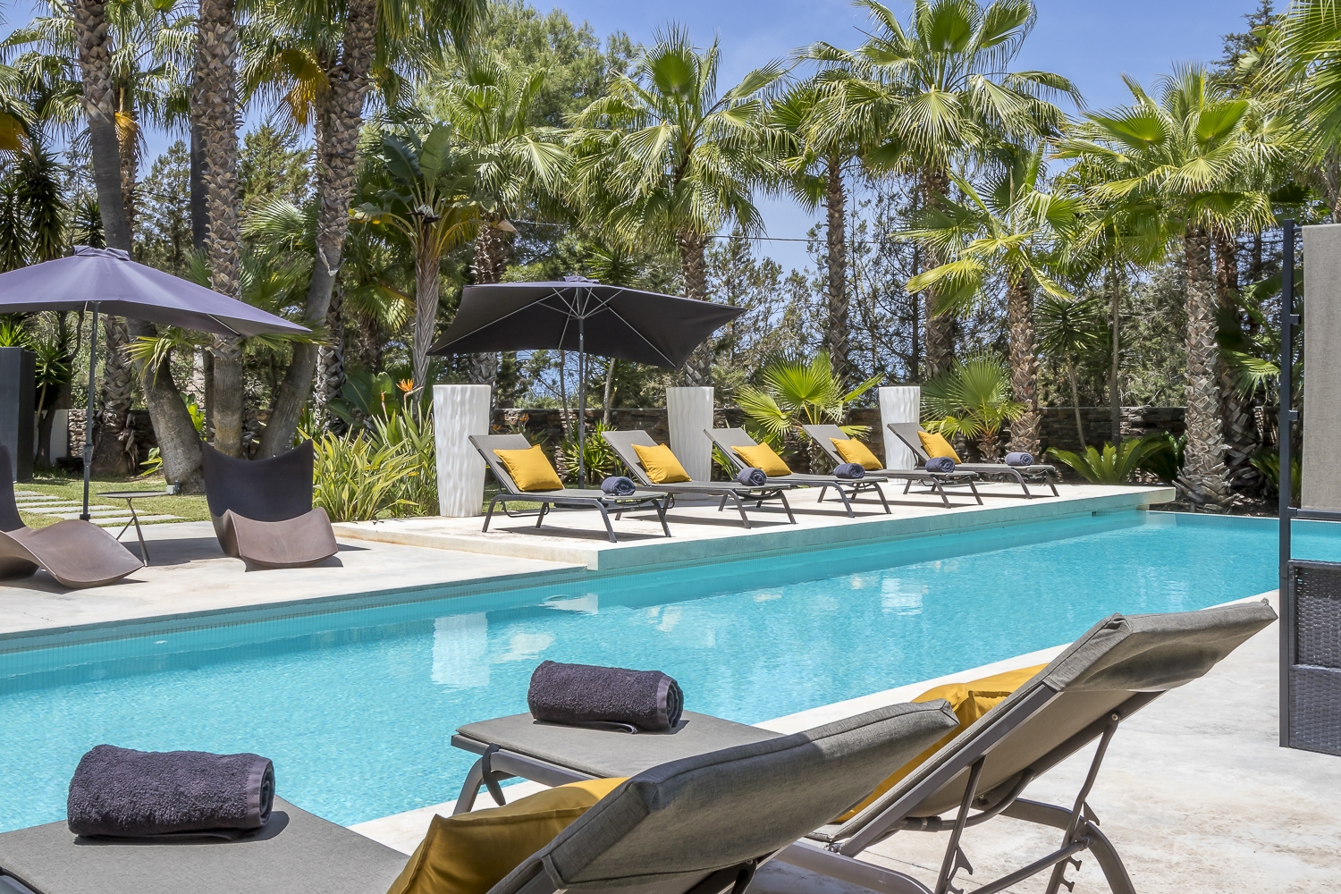 Zoe, Sant Antonio 30