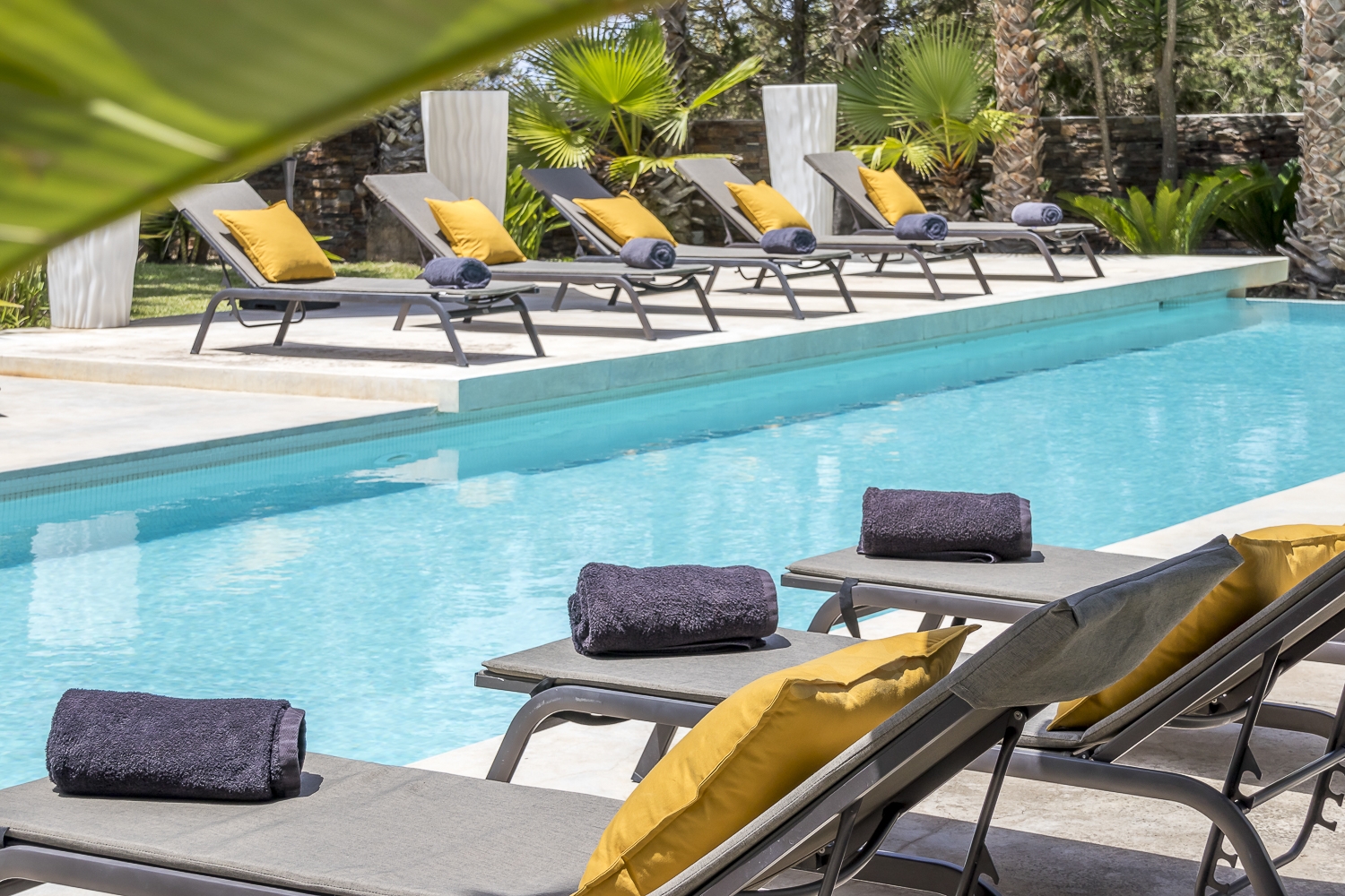 Zoe, Sant Antonio 31