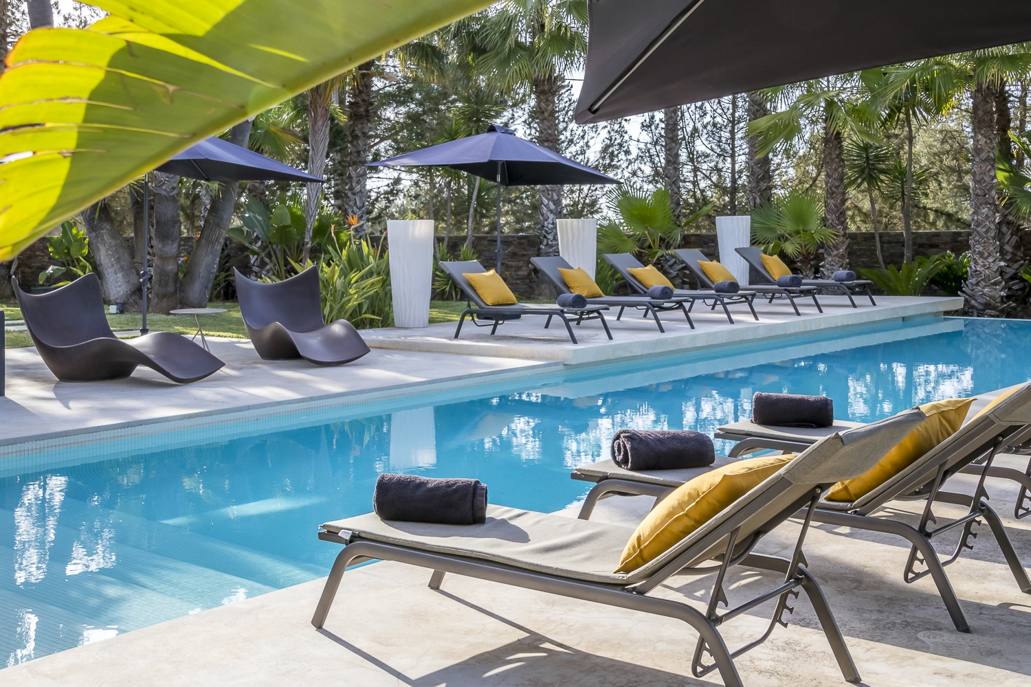 Zoe, Sant Antonio 35