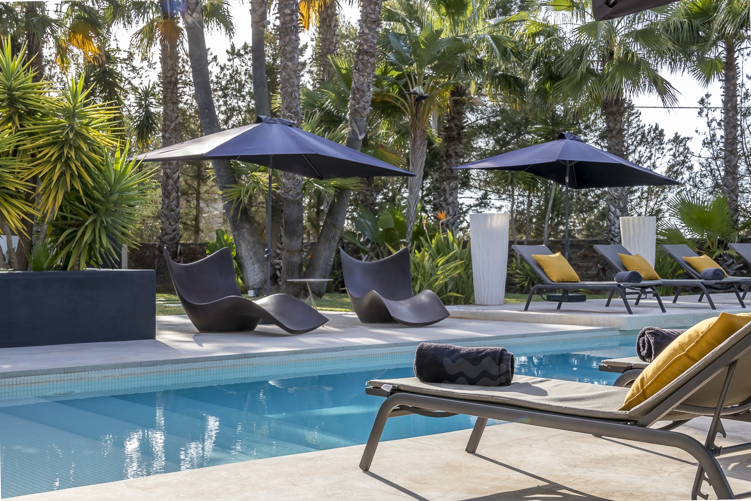 Zoe, Sant Antonio 36