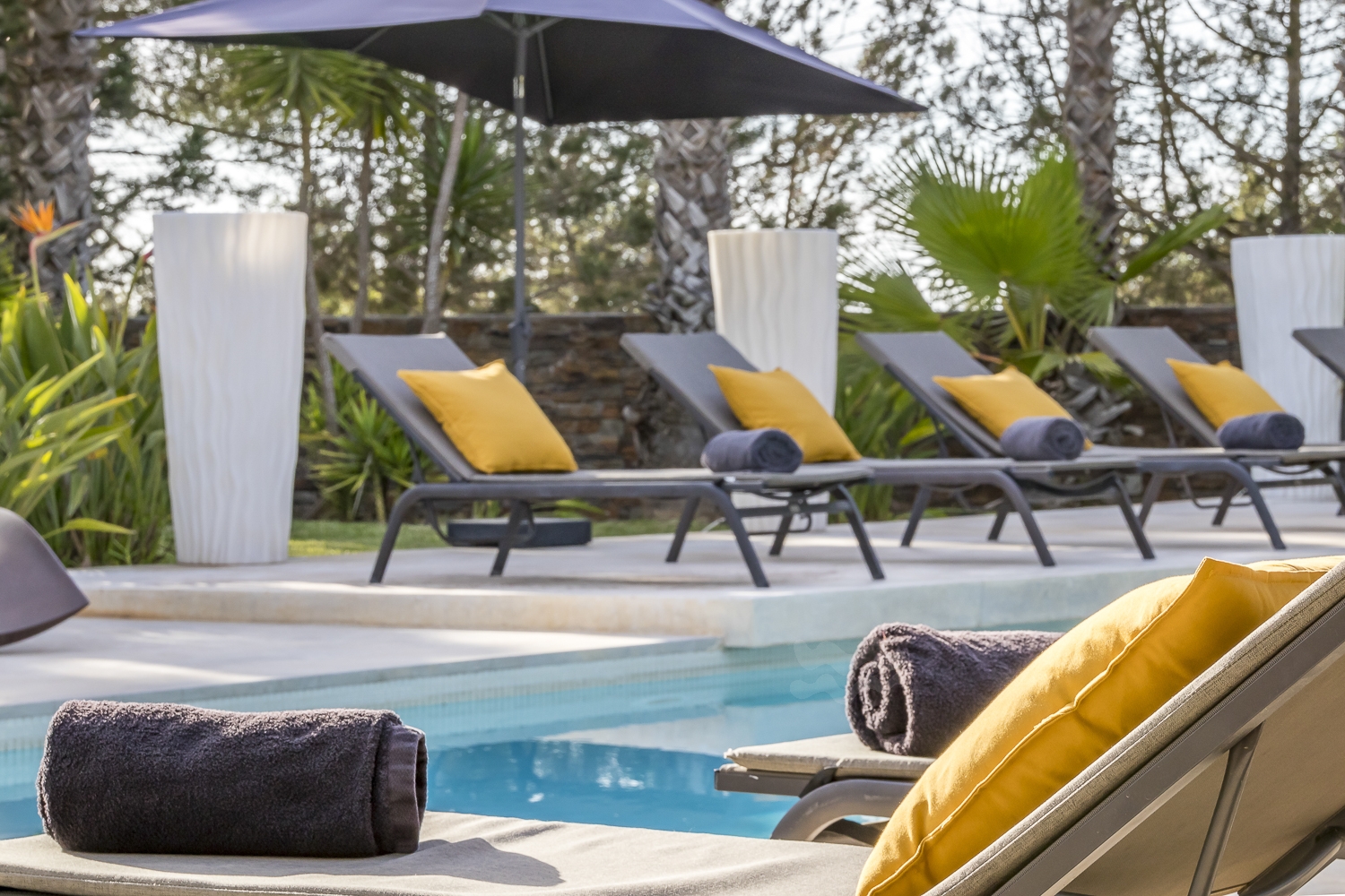 Zoe, Sant Antonio 37