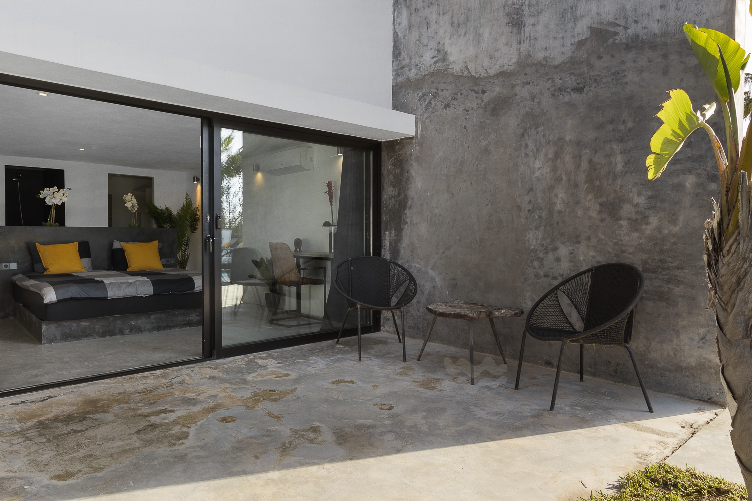 Zoe, Sant Antonio 71