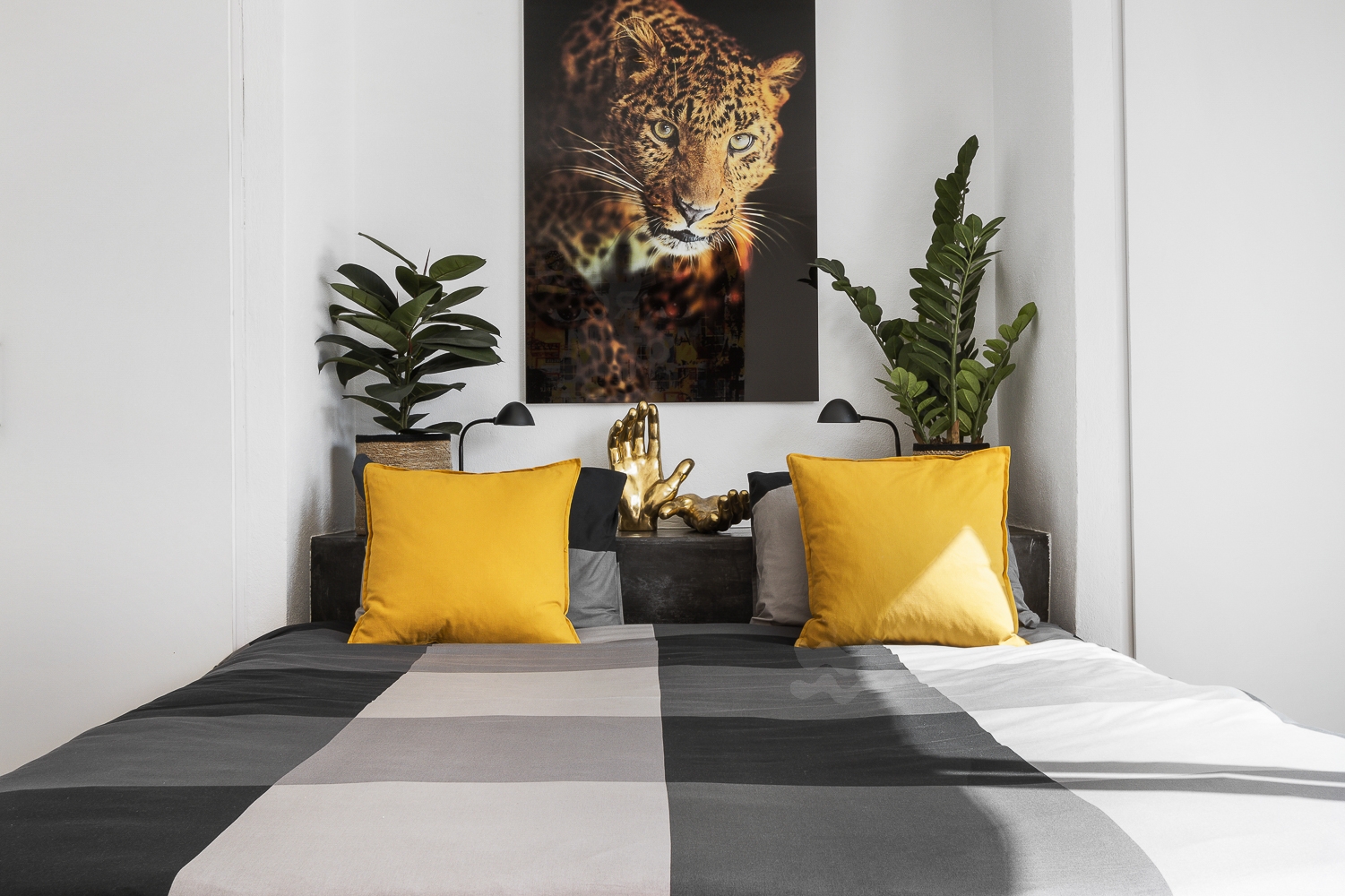 Zoe, Sant Antonio 79