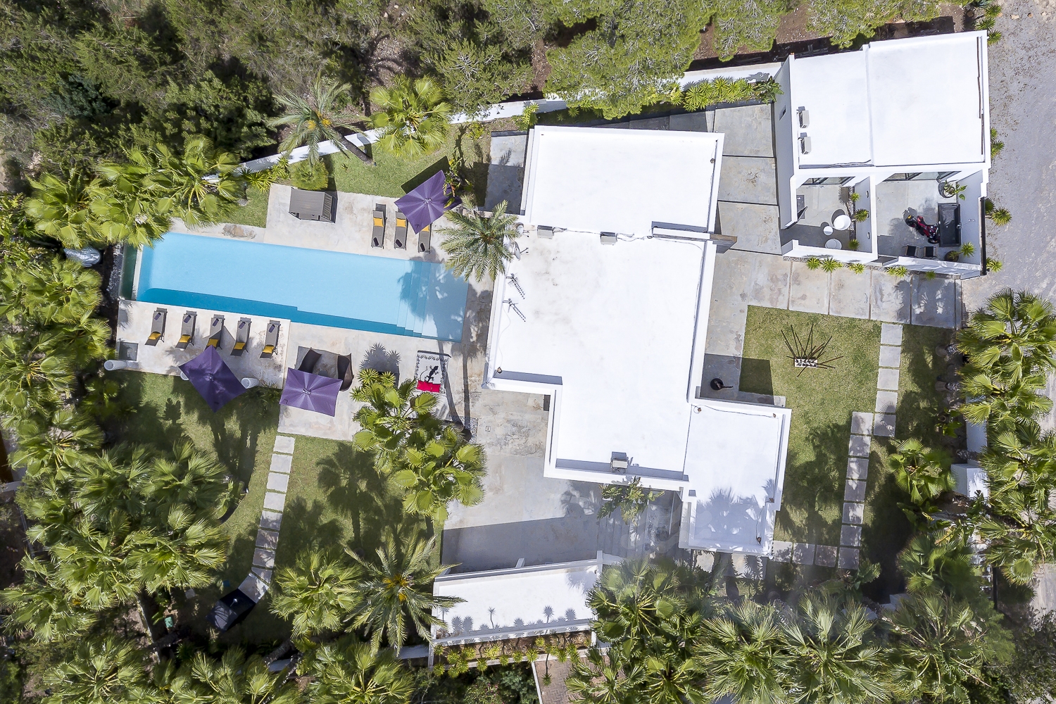 Zoe, Sant Antonio 99