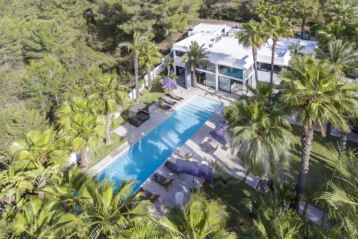 Zoe, Sant Antonio 101