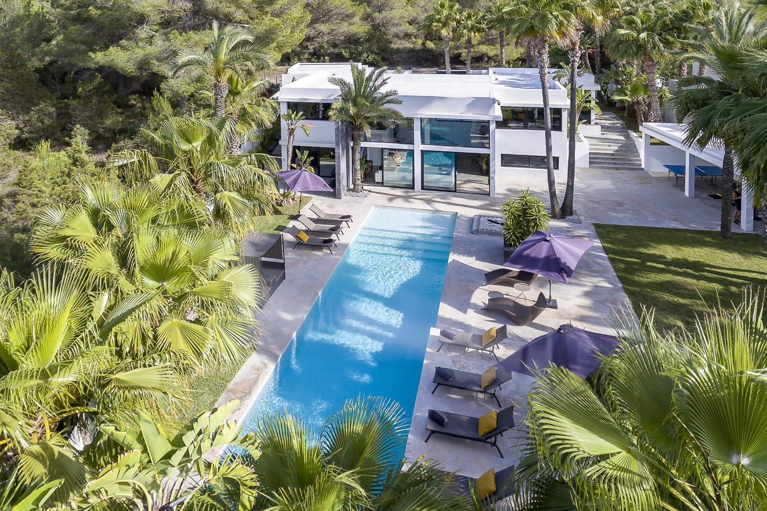 Zoe, Sant Antonio 102