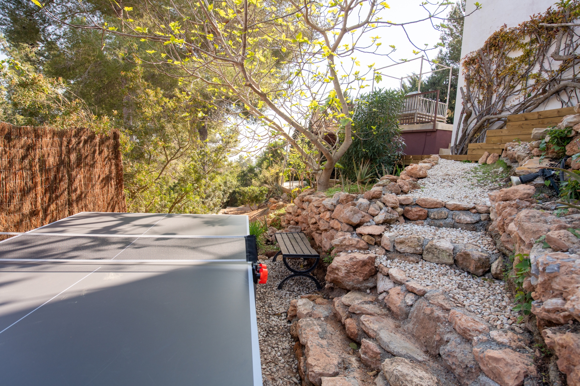 Callie, Can Furnet 82