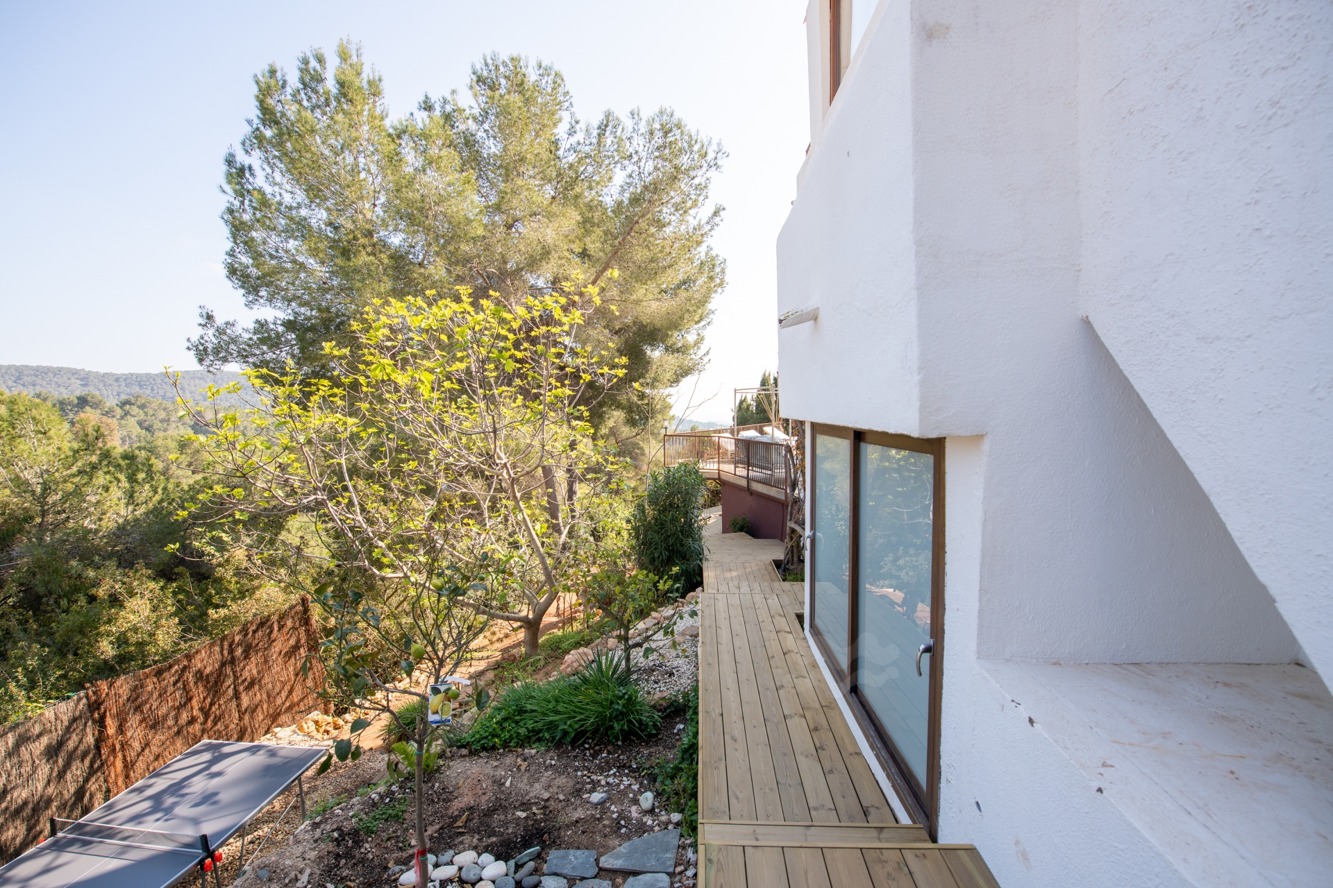 Callie, Can Furnet 83