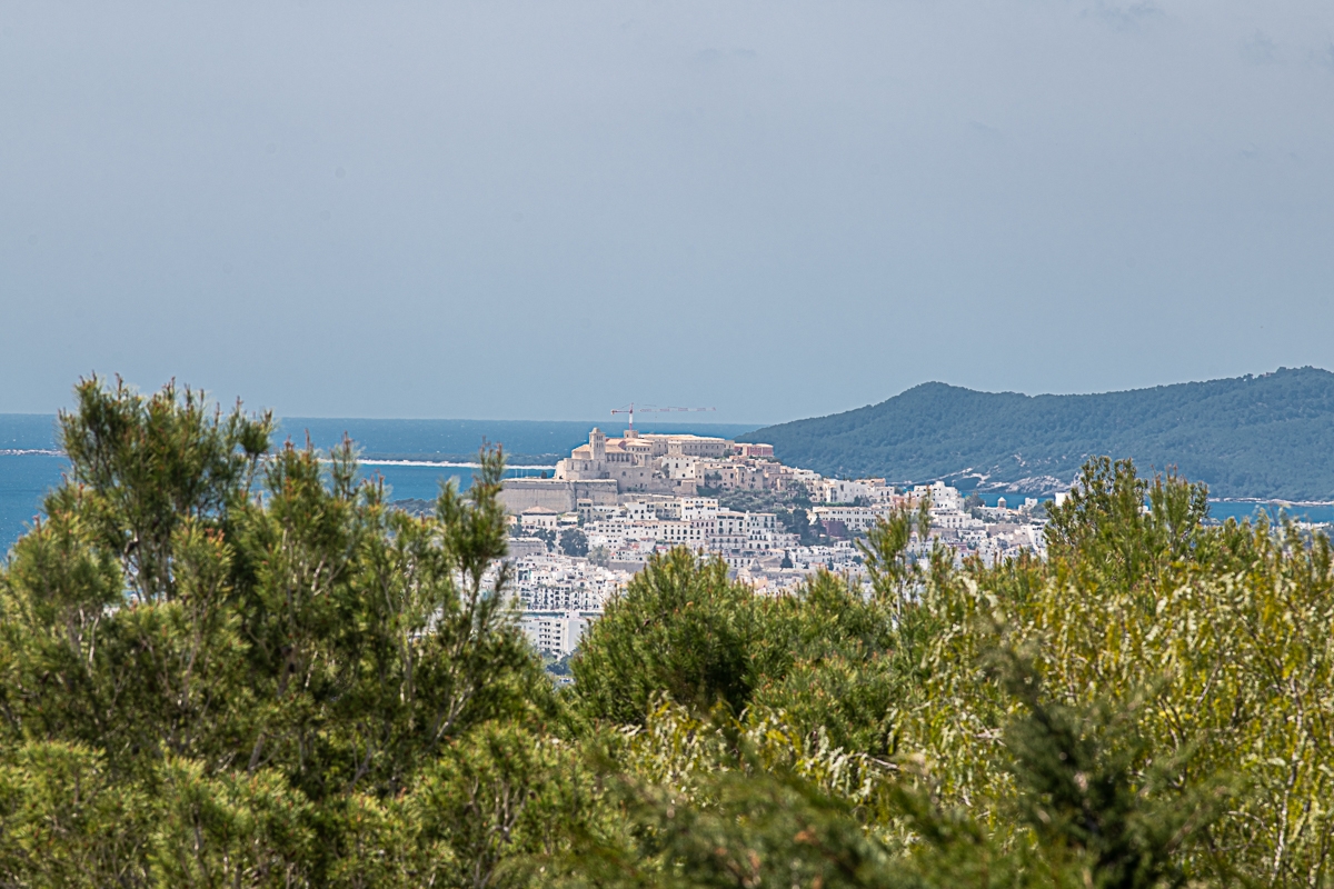 Callie, Can Furnet 25