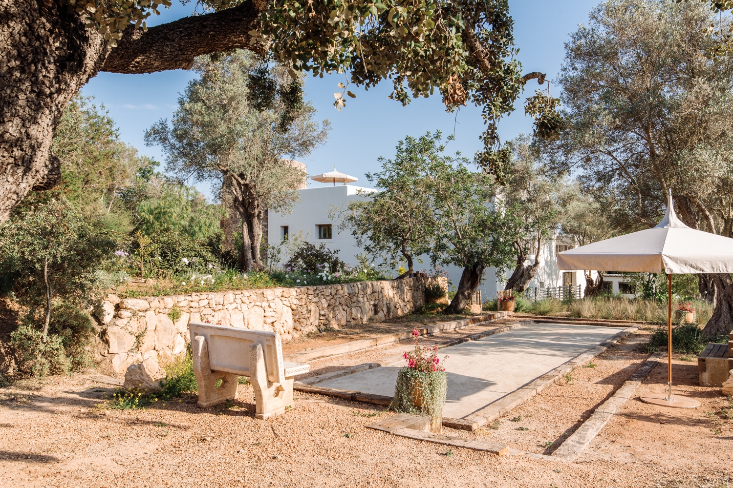 Danie, San Lorenzo 4