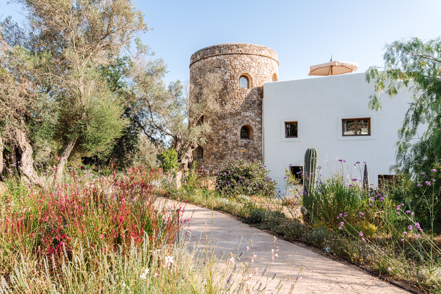 Danie, San Lorenzo 80