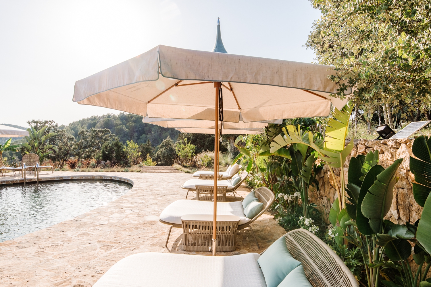 Danie, San Lorenzo 92