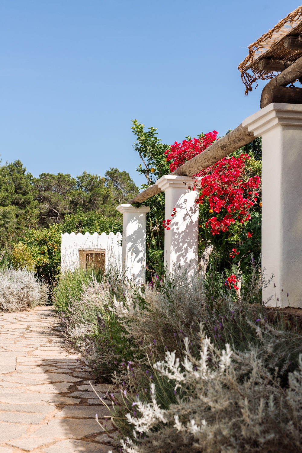 Danie, San Lorenzo 46