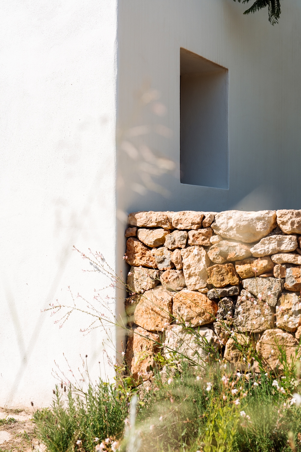 Danie, San Lorenzo 48