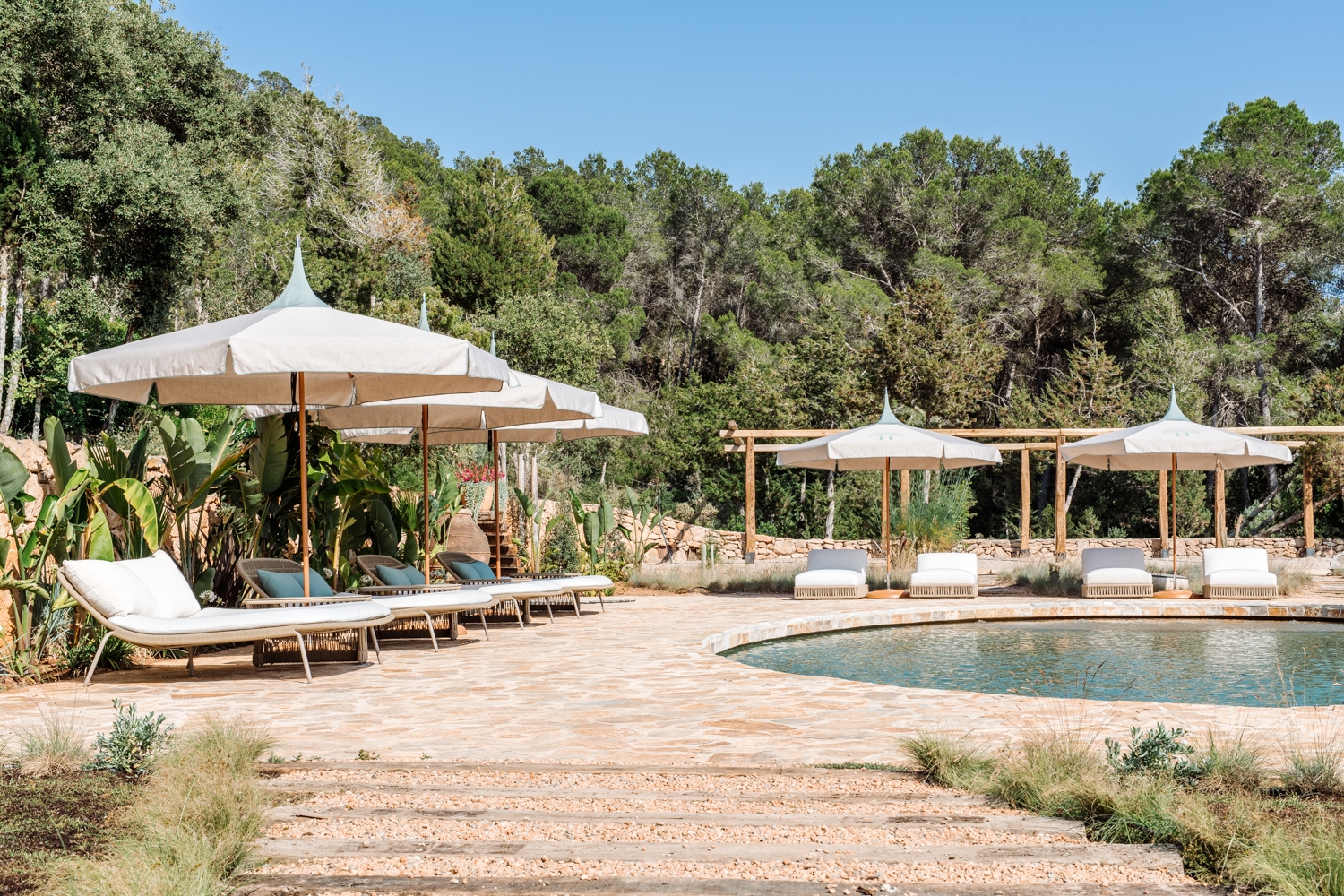 Danie, San Lorenzo 55