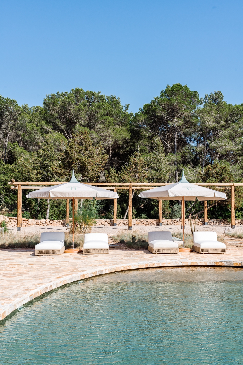 Danie, San Lorenzo 56