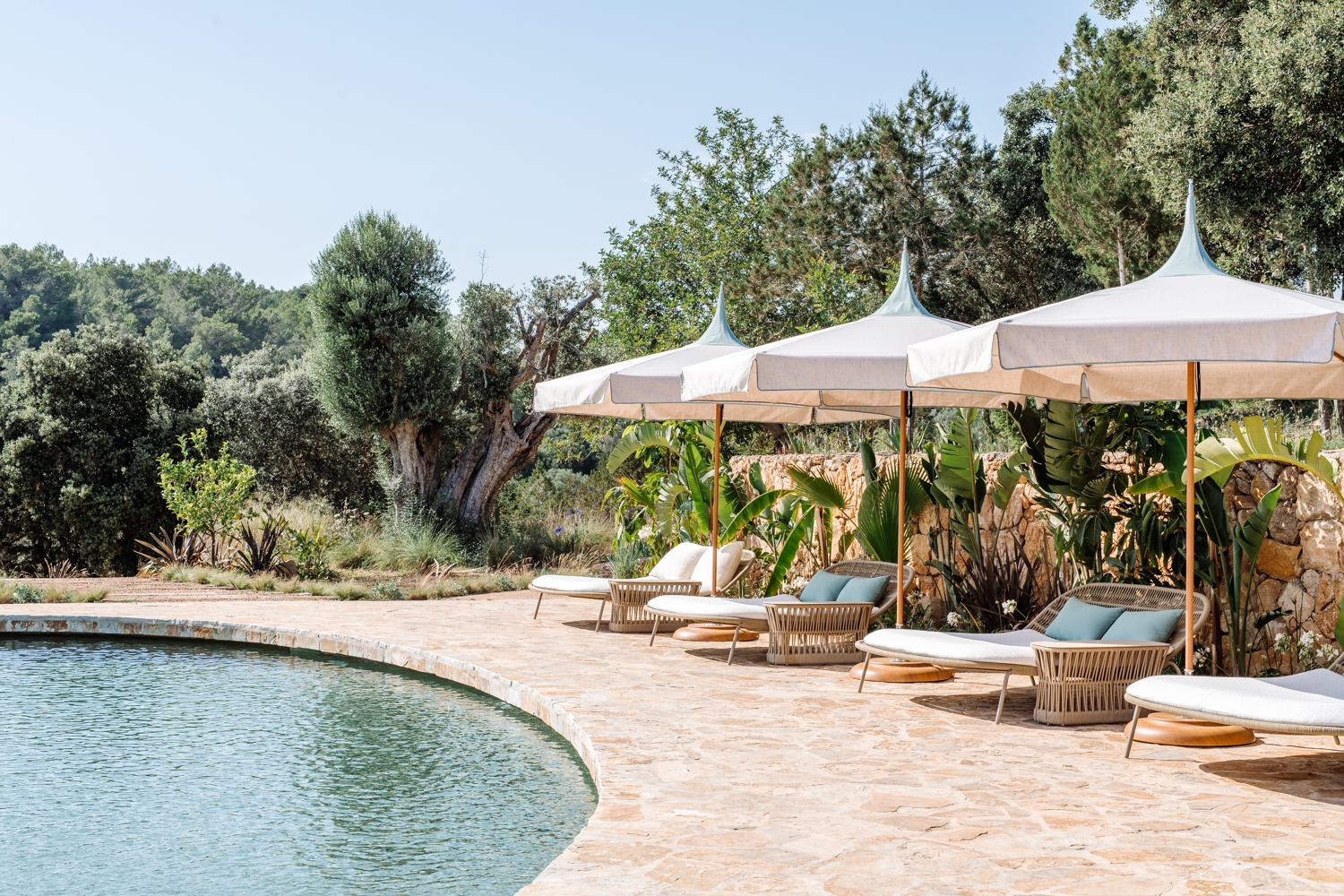 Danie, San Lorenzo 57