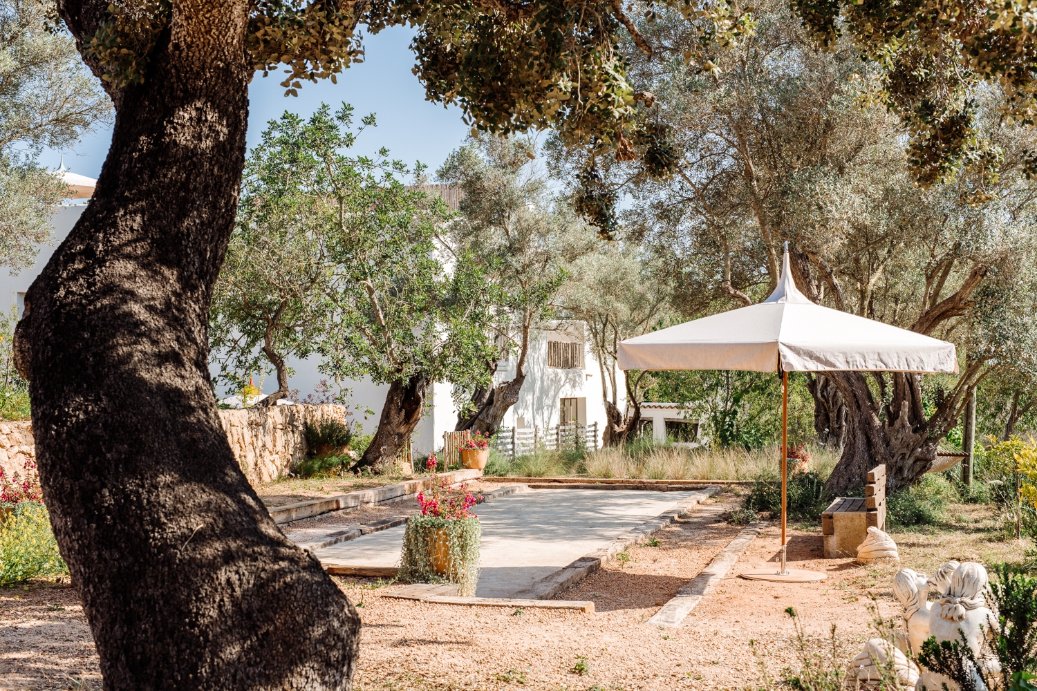 Danie, San Lorenzo 61