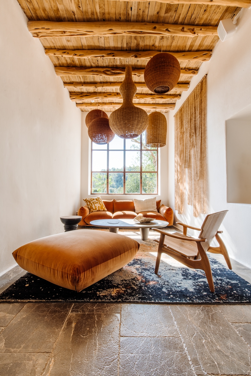 Danie, San Lorenzo 41